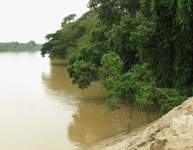 река Паханг